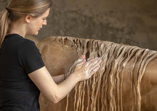 Laden Sie das Bild in den Galerie-Viewer, Hair and Body Clean - Natürliches Waschgel / Shampoo für Pferde