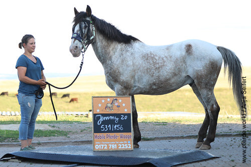 Reichweiten & Marken Kampagnen Paket