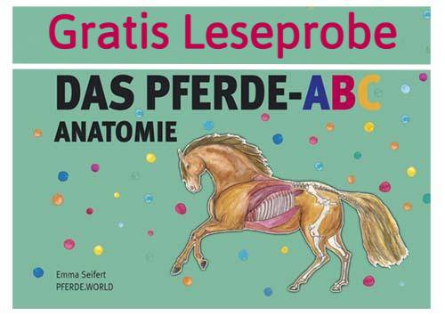 Das Pferde-ABC - Anatomie / Buch mit Softcover