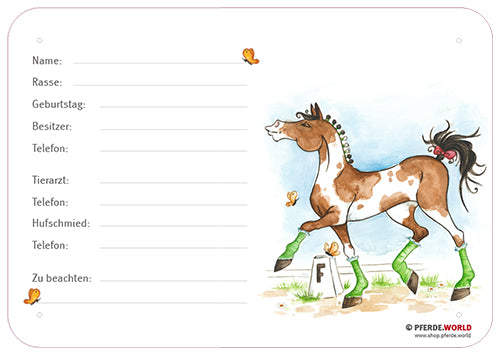 Produktbild von Boxenschild 'Haflinger' – Lustiges Pferde-Stallschild Aus Alu-Dibond, 300x200 Mm, Wetterfest Zur Wandmontage