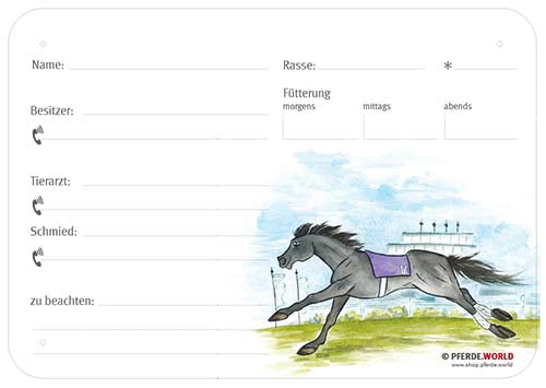 Boxenschild / Stalltafel Galopper 300 x 210 mm ohne Abstammung mit Fütterung, Tierarzt und Schmied