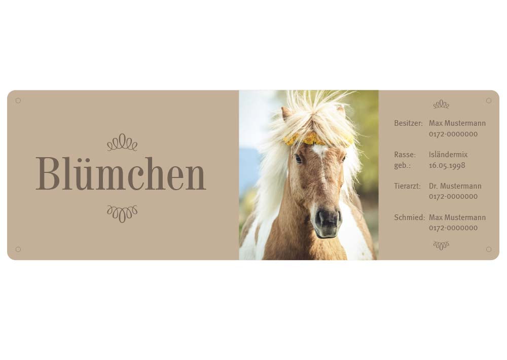 Boxenschild / Stalltafel mit Foto vom eigenen Pferd 290 x 100 mm