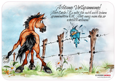 Koppelzaunschild 300 x 210 mm