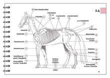 Laden Sie das Bild in den Galerie-Viewer, Das Pferde-ABC - Anatomie / Arbeitsheft für Lehrkräfte