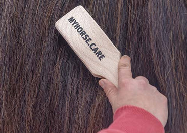 Kardätsche mit Wildschweinborsten