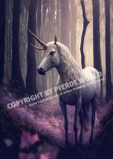 Einhorn - Illustration