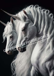 Edle Einhörner - Illustration