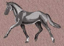 Laden Sie das Bild in den Galerie-Viewer, Handtuch / Badetuch / Duschtuch Trakehner