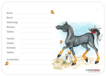 Boxenschild / Stalltafel Dressurpferd 300 x 210 mm mit Tierarzt und Hufschmied