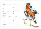 Boxenschild Springpferd 300 x 210 mm mit Abstammung, Fütterung, Tierarzt und Schmied