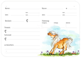 Boxenschild / Stalltafel Pony 300 x 210 mm mit Abstammung, Fütterung, Tierarzt und Schmied