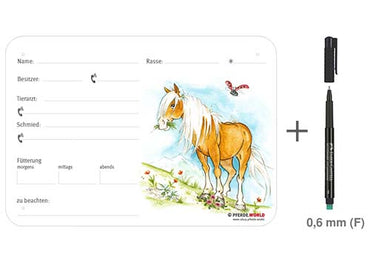 Boxenschild Haflinger 300 x 210 mm ohne Abstammung mit Fütterung, Tierarzt und Schmied