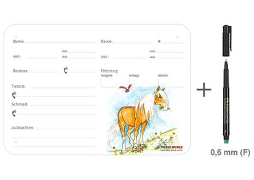 Boxenschild Haflinger 300 x 210 mm mit Abstammung, Fütterung, Tierarzt und Schmied