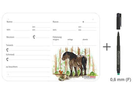 Boxenschild Noriker im Wald 300 x 210 mm mit Abstammung, Fütterung, Tierarzt und Schmied