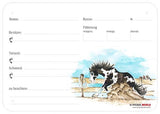 Boxenschild / Stalltafel Painthorse (Paint Horse) Sliding Stopp 300 x 210 mm ohne Abstammung, mit Fütterung, Tierarzt und Schmied