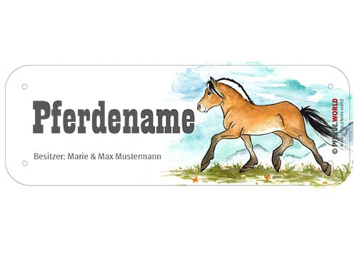Boxenschild / Stalltafel Fjordpferd mit individuellem Namen 200 x 70 mm