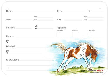 Boxenschild / Stalltafel Paint Horse (Painthorse) 300 x 210 mm mit Abstammung, Fütterung, Tierarzt und Schmied