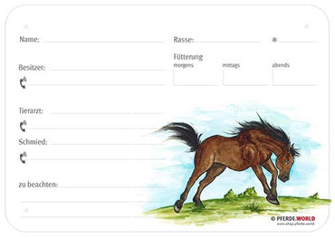 Boxenschild / Stalltafel Quarter Horse  300 x 210 mm ohne Abstammung, mit Fütterung, Tierarzt und Schmied