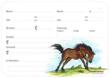 Boxenschild / Stalltafel Quarter Horse 300 x 210 mm mit Abstammung, Fütterung, Tierarzt und Schmied