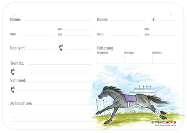 Boxenschild / Stalltafel Galopper 300 x 210 mm mit Abstammung mit Fütterung, Tierarzt und Schmied