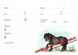 Boxenschild / Stalltafel Fell Pony 300 x 210 mm mit Abstammung, Fütterung, Tierarzt und Schmied
