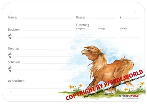 Boxenschild / Stalltafel Pony 300 x 210 mm ohne Abstammung mit Fütterung, Tierarzt und Schmied
