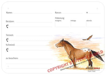 Boxenschild / Stalltafel Appaloosa mit Stehmähne 300 x 210 mm ohne Abstammung mit Fütterung, Tierarzt und Schmied