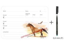 Boxenschild / Stalltafel Appaloosa mit Stehmähne 300 x 210 mm ohne Abstammung mit Fütterung, Tierarzt und Schmied