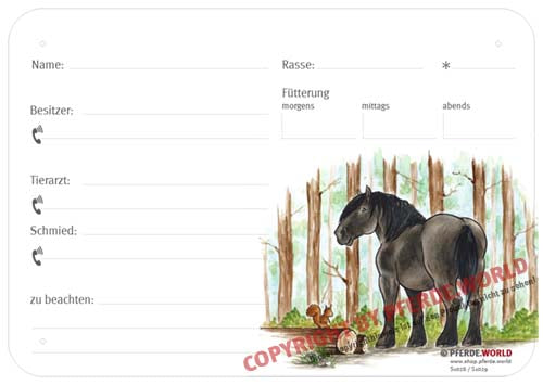 Boxenschild Noriker im Wald 300 x 210 mm ohne Abstammung mit Fütterung, Tierarzt und Schmied