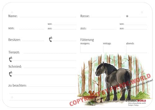 Boxenschild Noriker im Wald 300 x 210 mm mit Abstammung, Fütterung, Tierarzt und Schmied