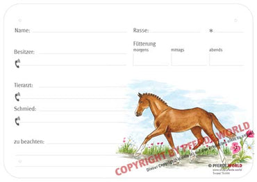 Boxenschild / Stalltafel Trakehner 300 x 210 mm ohne Abstammung mit Fütterung, Tierarzt und Schmied