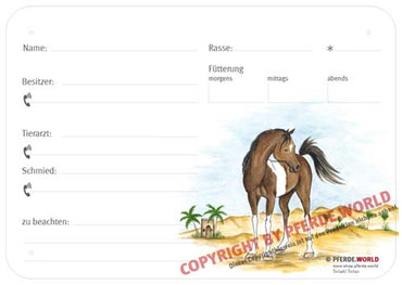 Boxenschild / Stalltafel Araber 300 x 210 mm ohne Abstammung mit Fütterung, Tierarzt und Schmied
