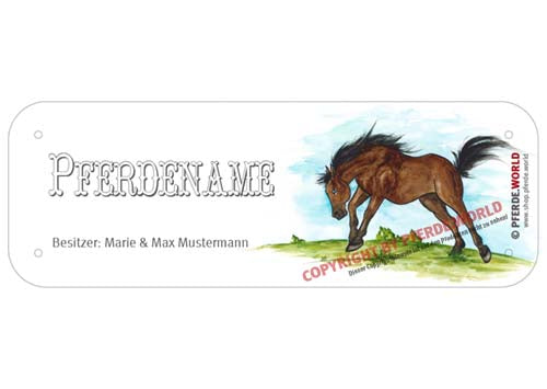 Boxenschild / Stalltafel Quarter Horse (Quarterhorse) mit individuellem Namen 200 x 70 mm