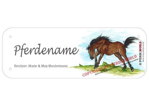 Boxenschild / Stalltafel Quarter Horse (Quarterhorse) mit individuellem Namen 200 x 70 mm