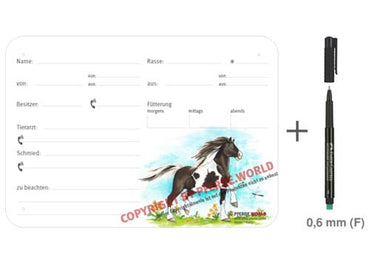 Boxenschild / Stalltafel Barockpinto 300 x 210 mm mit Abstammung, Fütterung, Tierarzt und Schmied