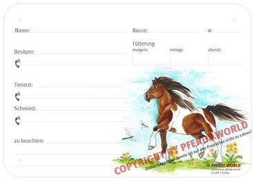 Boxenschild / Stalltafel Barockpinto 300 x 210 mm ohne Abstammung mit Fütterung, Tierarzt und Schmied