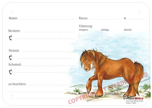 Boxenschild / Stalltafel Fell Pony 300 x 210 mm ohne Abstammung mit Fütterung, Tierarzt und Schmied