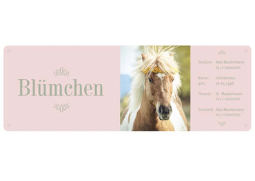 Boxenschild / Stalltafel mit Foto vom eigenen Pferd 290 x 100 mm