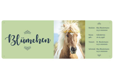 Boxenschild / Stalltafel mit Foto vom eigenen Pferd 290 x 100 mm
