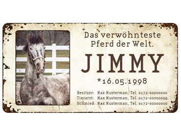 Boxenschild / Stalltafel mit Foto vom eigenen Pferd 280 x 144 mm