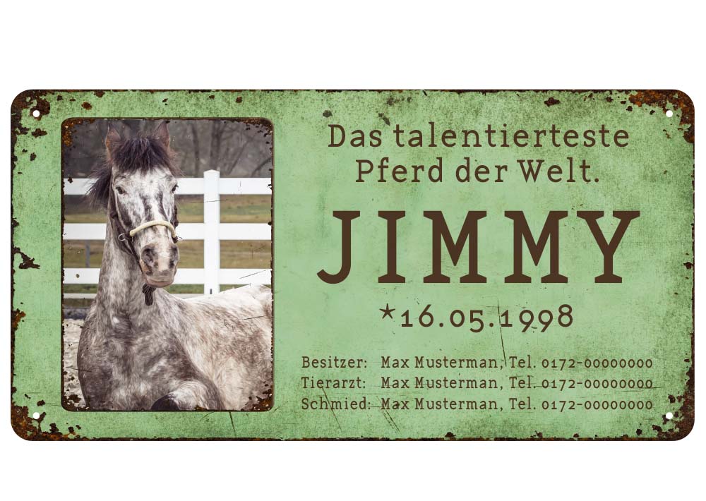 Boxenschild / Stalltafel mit Foto vom eigenen Pferd 280 x 144 mm