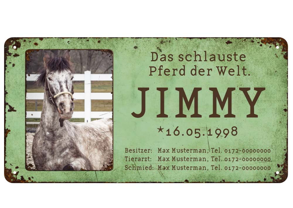 Boxenschild / Stalltafel mit Foto vom eigenen Pferd 280 x 144 mm