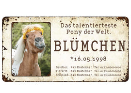 Boxenschild / Stalltafel mit Foto vom eigenen Pony 280 x 144 mm