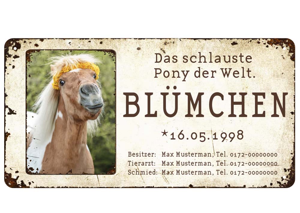 Boxenschild / Stalltafel mit Foto vom eigenen Pony 280 x 144 mm