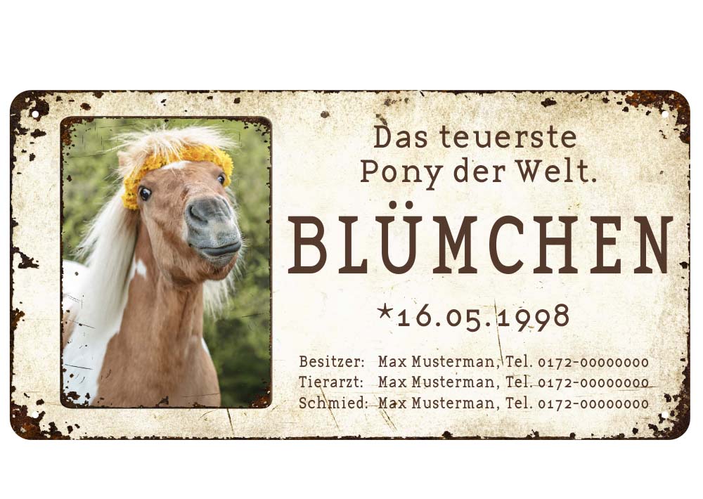 Boxenschild / Stalltafel mit Foto vom eigenen Pony 280 x 144 mm