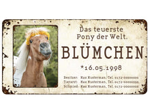 Laden Sie das Bild in den Galerie-Viewer, Boxenschild / Stalltafel mit Foto vom eigenen Pony 280 x 144 mm